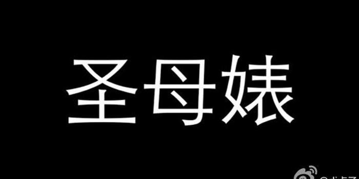 过犹不及的 圣母婊 手机新浪网