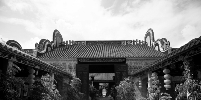 广东6村合并设2级议事会 决策监督议事三权分立