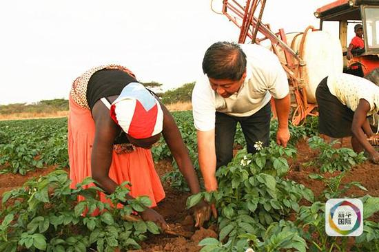 　　2014年9月11日，在津巴布韦农业示范中心，中国农业专家在指导当地人种粮食。（新华社记者许林贵摄）