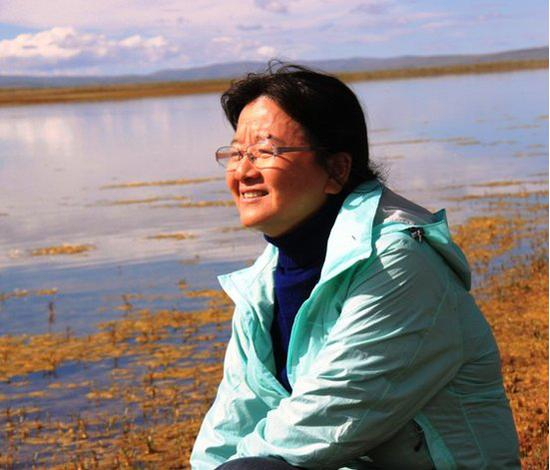 汪永晨，中央人民广播电台记者，民间环保组织“绿家园志愿者”召集人。