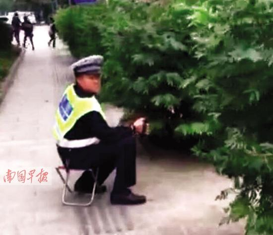 一名协警坐在人行道上绿树丛后摄像，被市民拍下视频上传网络。视频截图