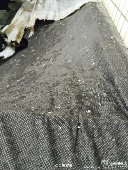 成都的雪花。。。。