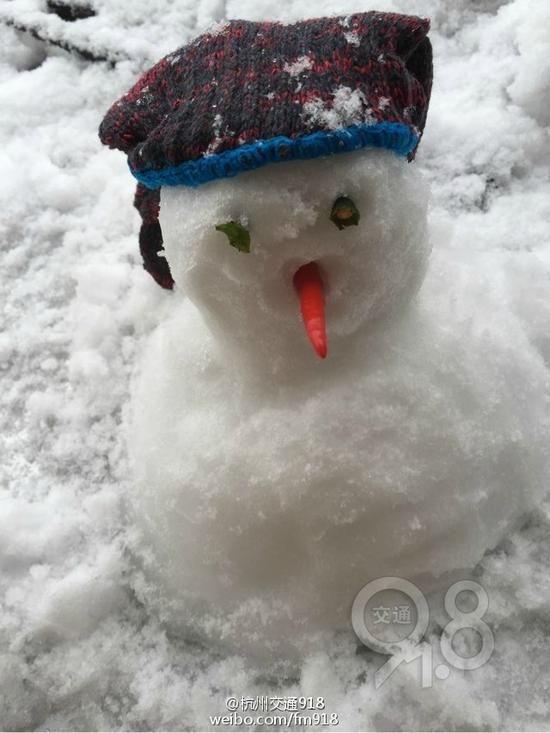 浙江网友堆积的雪人