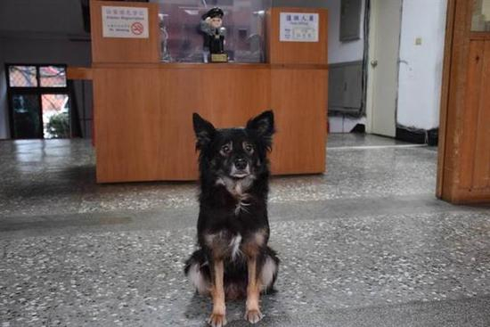 小黑日夜守候警局前。（图片取自台媒）