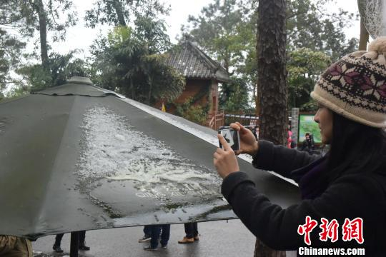 一名摄影爱好者爬上高处拍摄遮阳伞上的积雪。 蒋雪林 摄