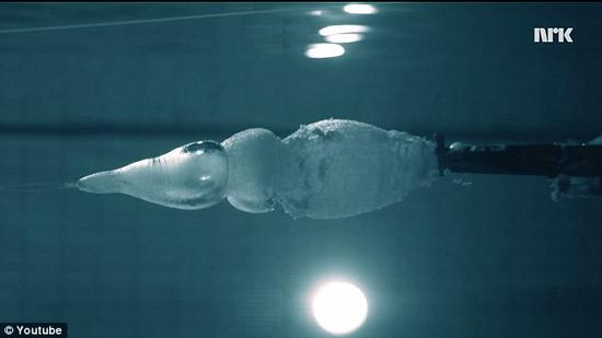 这并非是华尔首次实施如此惊险的试验。