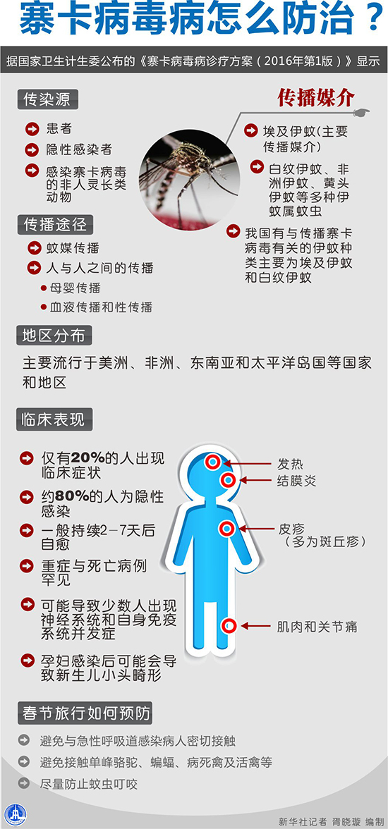 图表：寨卡病毒病怎么防治？ 新华社记者 胥晓璇 编制