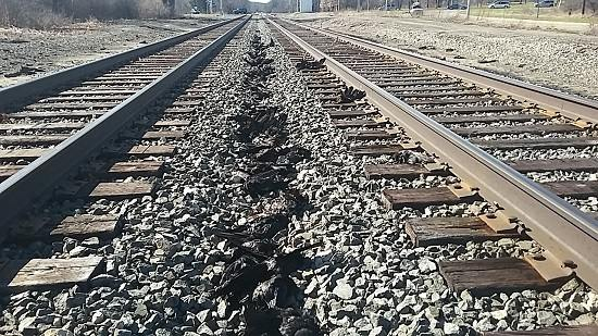 　　近日，在美国密歇根州斯普林菲尔德，约300只乌鸦突然死亡，更诡异的是，它们的尸体还在火车铁轨旁“列队”。