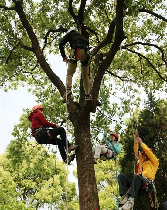 苏州校园开设爬树课