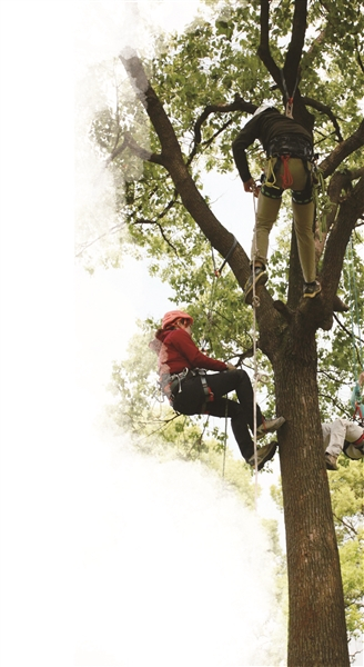 图片由登山协会提供