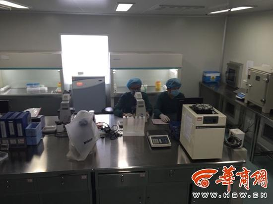 分析精子样本
