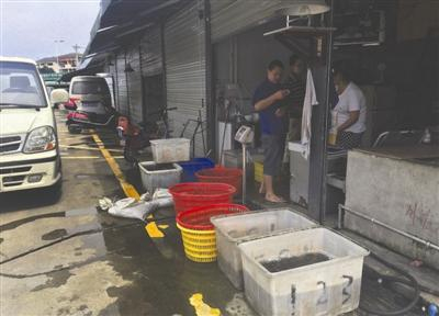 记者走访水产品市场