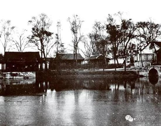 当时的梦草公园