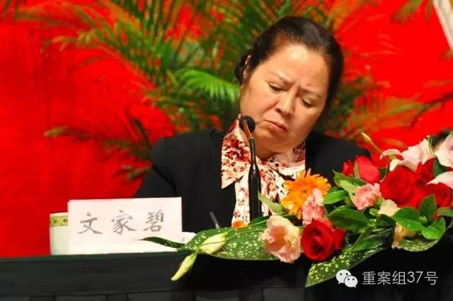 　　▲四川省红十字会原党组书记、常务副会长文家碧，因受贿罪、贪污罪二审被判有期徒刑16年。 图片来源 益网