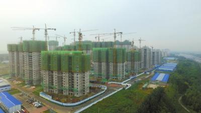 固安遍地房地产开发项目。