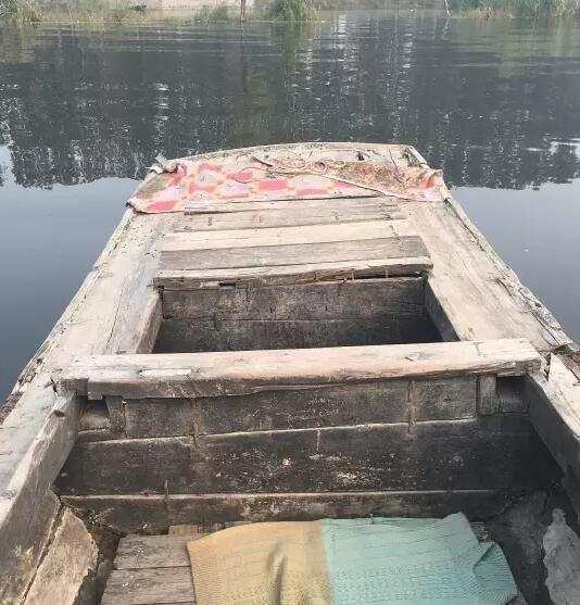 白洋淀景区没有运营资质的载客木船。 新京报记者 李明 摄