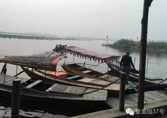 白洋淀景区没有运营资质的载客木船。 新京报记者 李明 摄