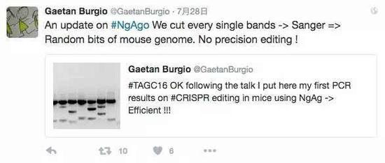 　　澳大利亚国立大学科学家Gaetan Burgio发布Twitter，表示NgAgo编辑“有效”。但随后有发文表示“经过更多的检测，没有严格意义上的证据显示韩春雨的NgAgo-gDNA技术有基因编辑的迹象“，并要求韩春雨公开所有原始数据和实验条件。