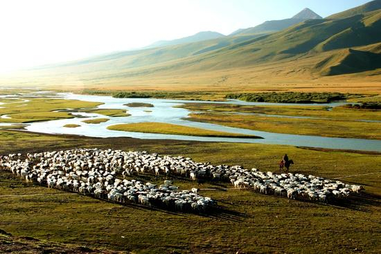 巴音布鲁克草原