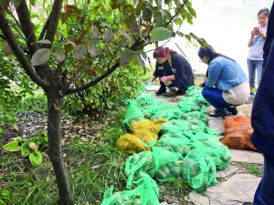 几名女子准备在北大未名湖放生巴西龟。网友供图