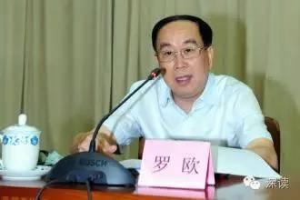 罗欧，资料图