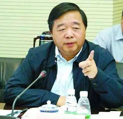 季建业被南京市民称为“季挖挖”、“推土机市长”。