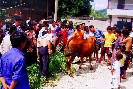 ▲铜仁职院教师为农民朋友讲解黄牛疾病防治。