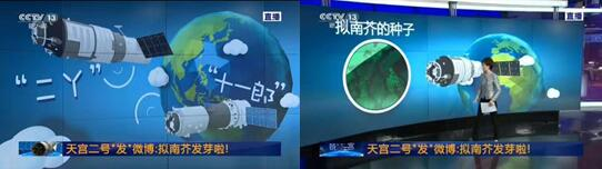 央视新闻报道“二丫”与“十一郎”，并引用微博内容