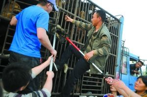 4·15高速路拦车救狗事件