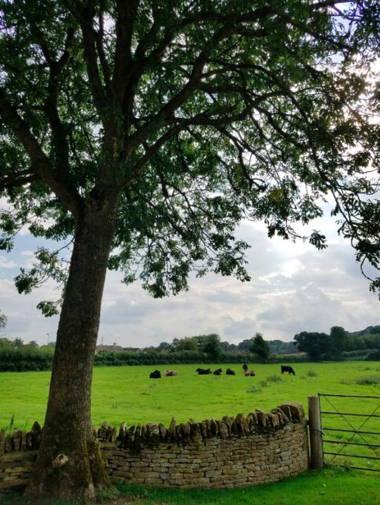 英格兰中部科兹沃尔德的乡村