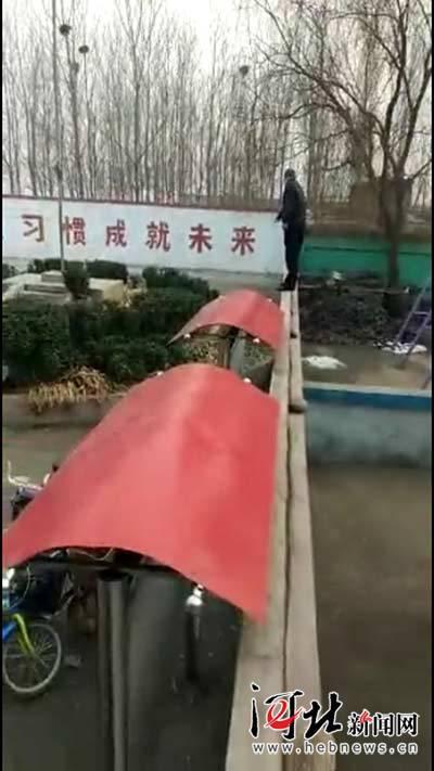 300多斤野猪闯进小学 被民警当场开枪击毙(图)