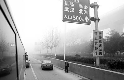 几辆车停在路边等待高速通行