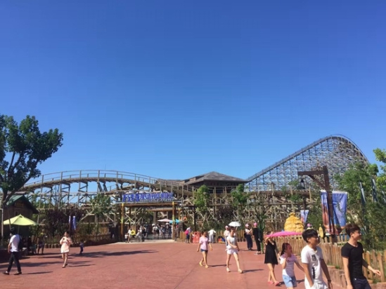 丛林飞龙，图据网络