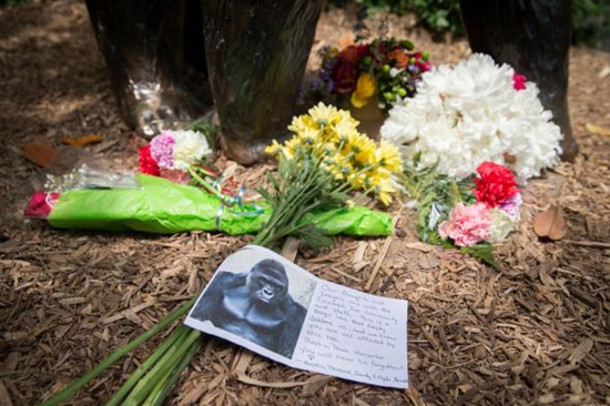人们用鲜花悼念哈兰贝。