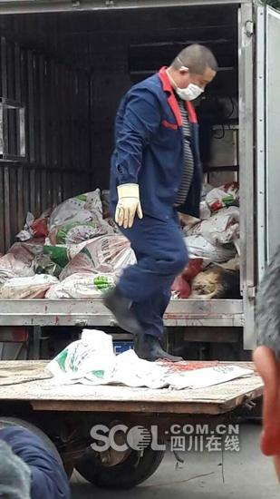 眉山市东坡区修文镇发生狂犬疫情。