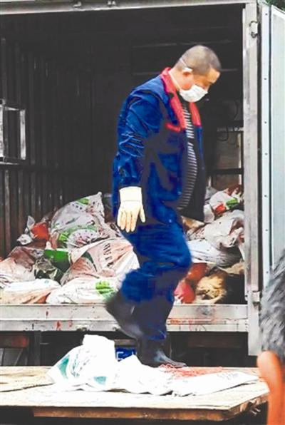 东坡区修文镇相关人员对划定狂犬病疫点内的犬只进行捕杀