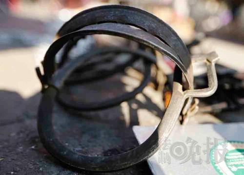 河北怀来集市卖黄鼠狼