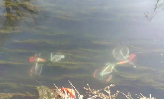 被扔到河里的单车。