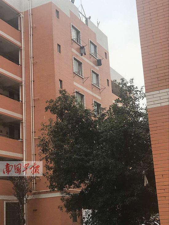 死亡的研究生在这栋宿舍的厕所里被发现。记者 周伟武摄