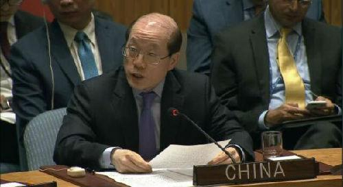 刘结一发言视频截图。截图源自联合国视频官网。