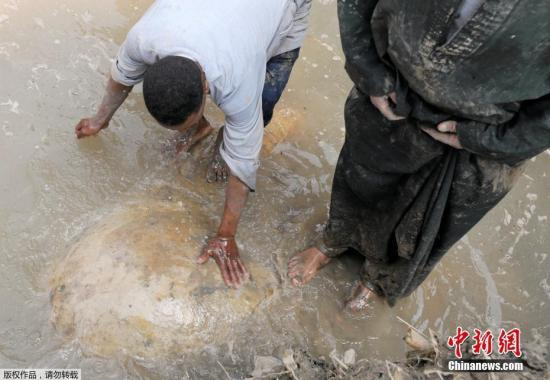 　　该个雕像由石英制成，该地区有许多未完成的建筑物及泥路，亦是古老遗址赫利波利斯(Heliopolis)中，拉美西斯二世的寺庙地区。