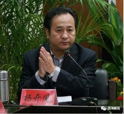 （湖南怀化原副市长杨开凤）