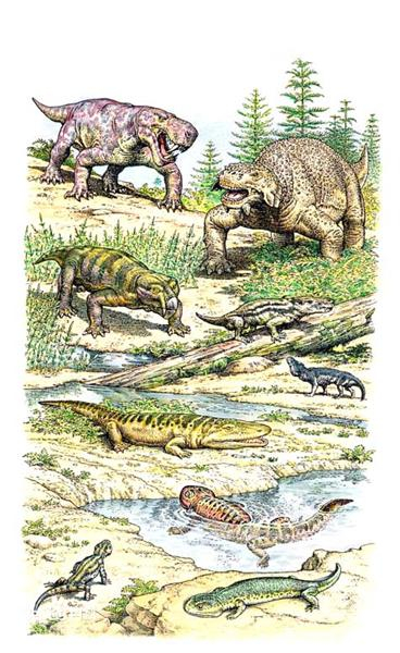 二叠纪时期的生物