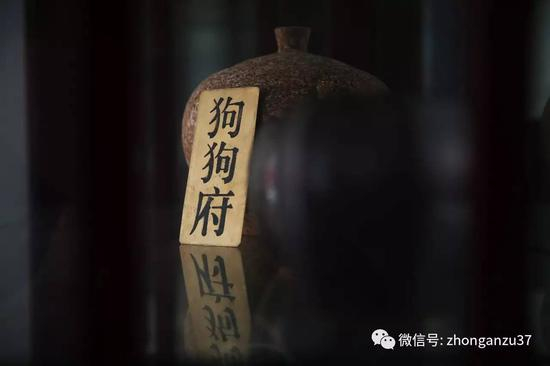 待售的宠物骨灰罐。 新京报记者 大路 摄