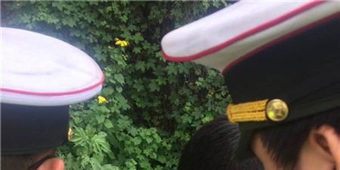 少年手持残破罗盘走向太阳塔图姆只为解开血脉中诅咒的终极真相