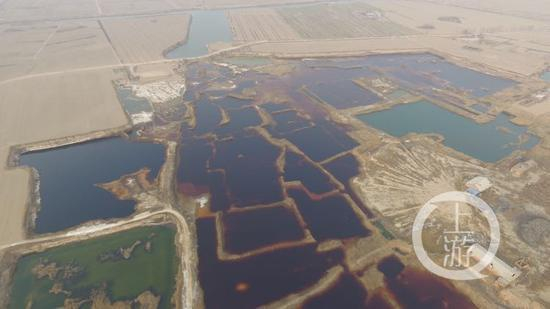 廊坊市大成县南赵扶镇北边的田地中的污水渗坑