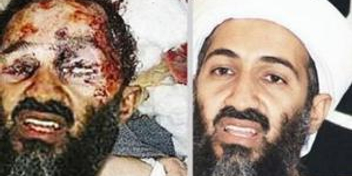 美前特种兵揭击毙本拉登细节_手机新浪网