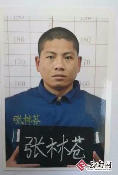 图为张林苍狱中服刑照片
