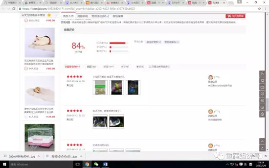 ▲搜索“小太阳”，百度贴吧内显示交易活跃。 手机截图