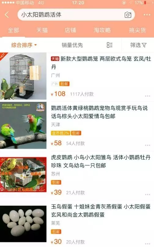▲知名网络交易平台上，小太阳鹦鹉交易量可观。 手机截图
